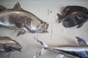 Fish On The Wall